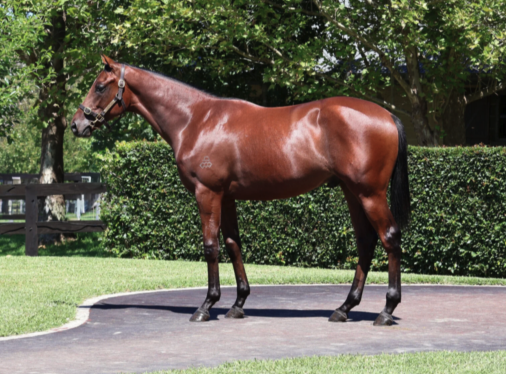 Latest Weekly Listings – Capitalist, Noverre and Star Turn